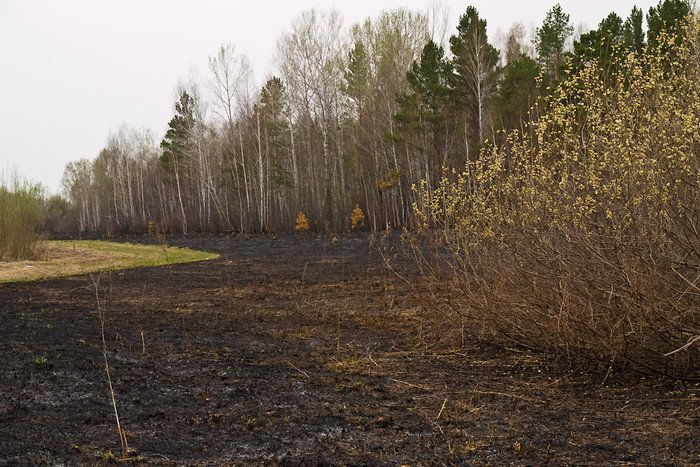 Fire_001.jpg