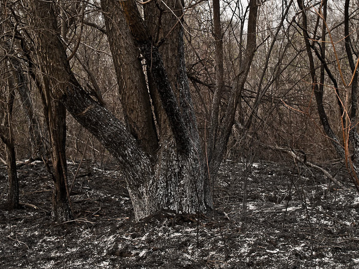 Fire_003.jpg