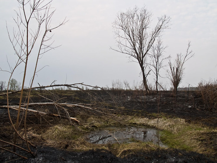 Fire_004.jpg