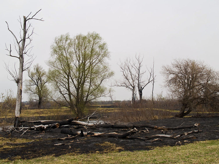 Fire_006.jpg
