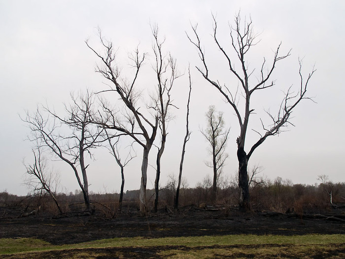 Fire_008.jpg