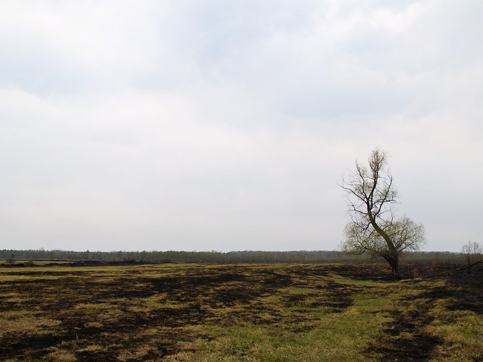 Fire_010.jpg