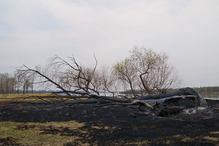 Fire_012.jpg