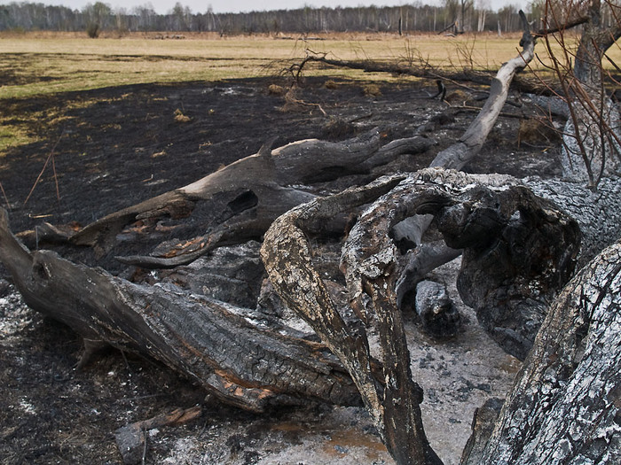 Fire_013.jpg
