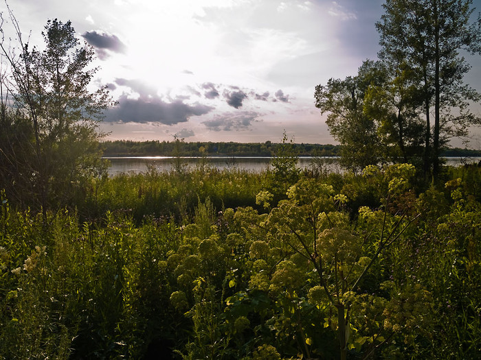 July_010.jpg