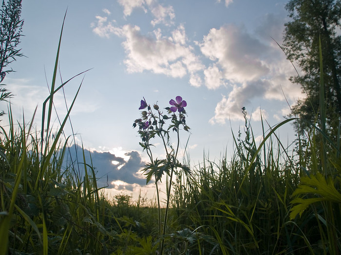 July_015.jpg