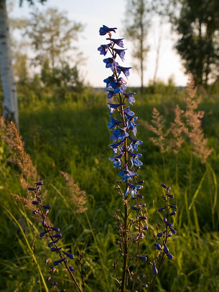 July_019.jpg