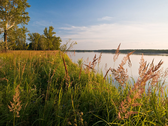 July_025.jpg