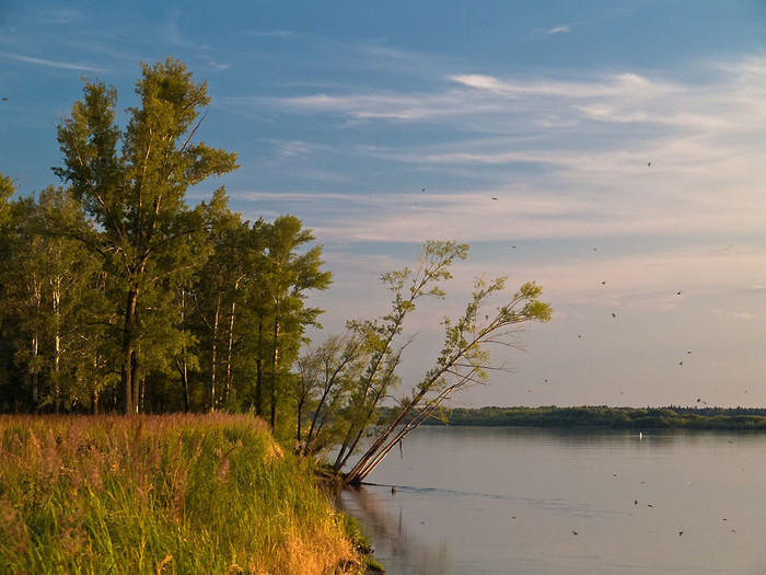 July_026.jpg
