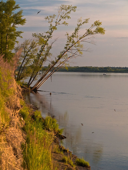July_027.jpg