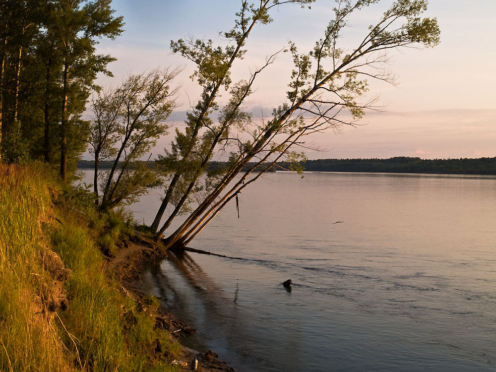 July_032.jpg