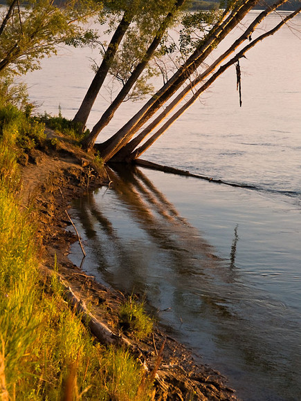 July_033.jpg