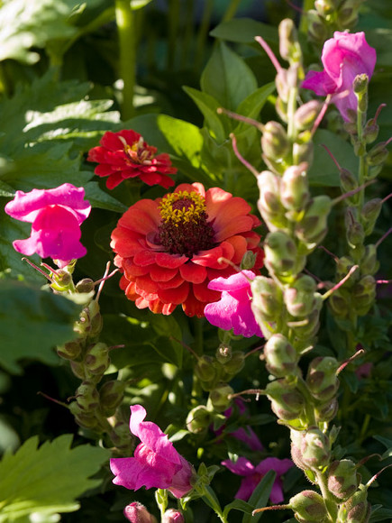 flowers_088.jpg