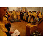 IMG_5505_resize.JPG