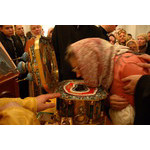IMG_5652_resize.JPG