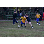dz_6447_20081003.JPG