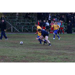 dz_6445_20081003.JPG