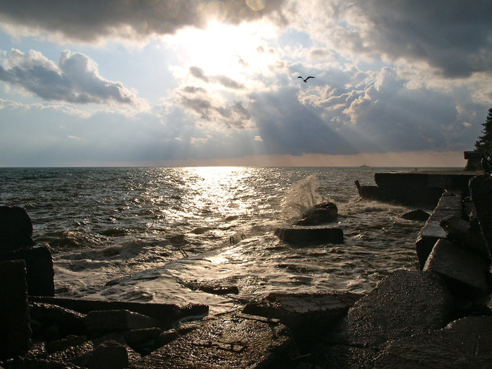 Sea-021.jpg