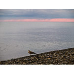 Sea-054.jpg