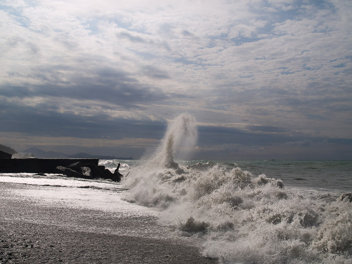 Sea-086.jpg