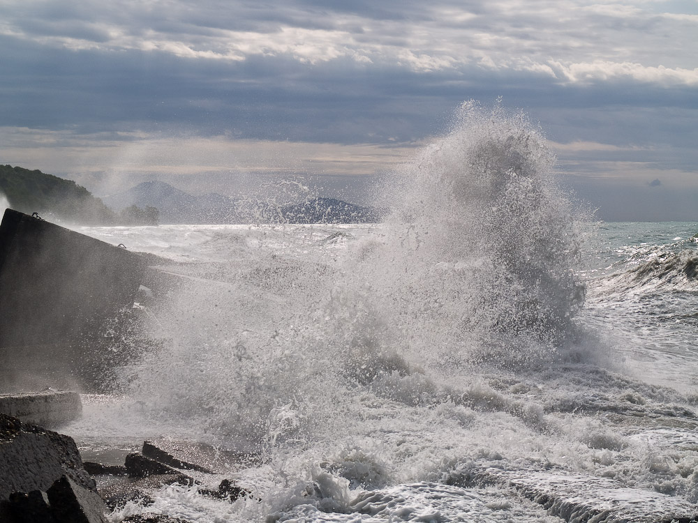 Sea-088.jpg