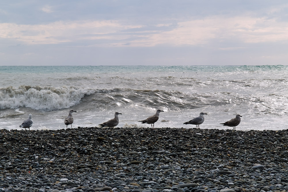 Sea-106.jpg
