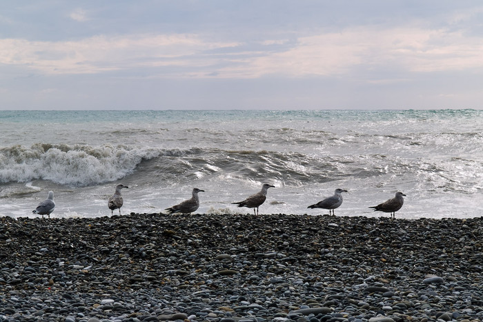 Sea-106.jpg