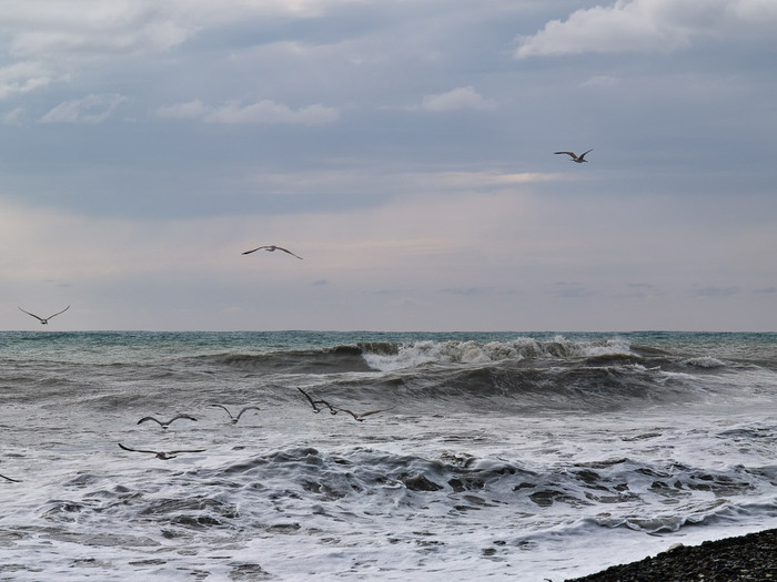 Sea-107.jpg