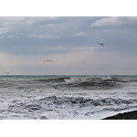 Sea-107.jpg