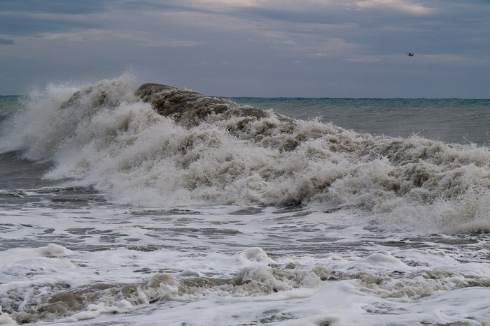 Sea-110.jpg