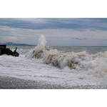 Sea-111.jpg