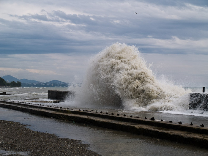 Sea-119.jpg