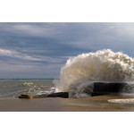 Sea-120.jpg