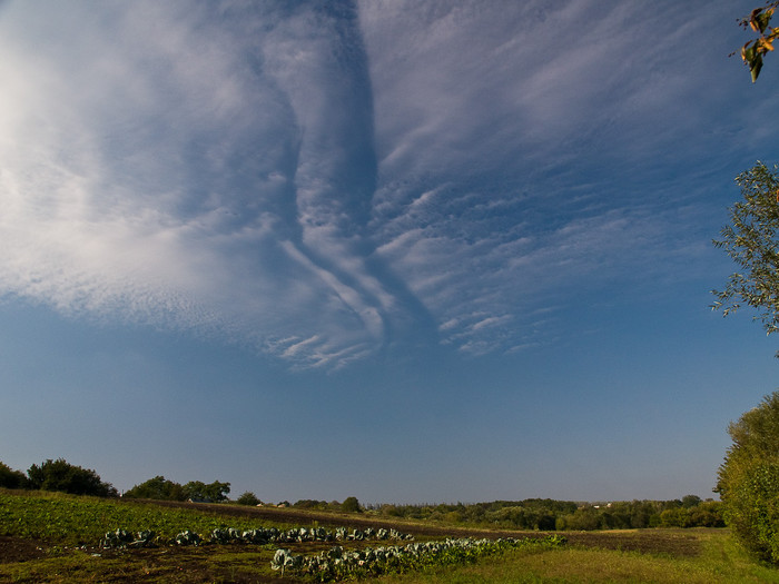 Ukr-Nature-001.jpg