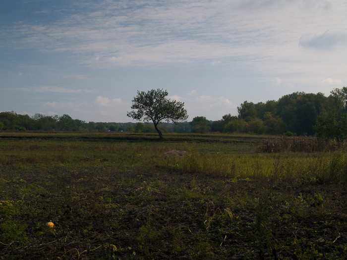 Ukr-Nature-003.jpg