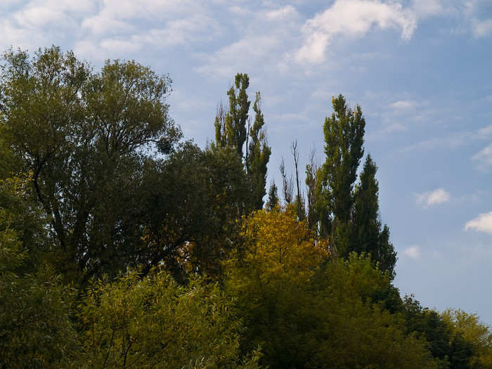 Ukr-Nature-004.jpg