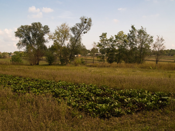 Ukr-Nature-005.jpg