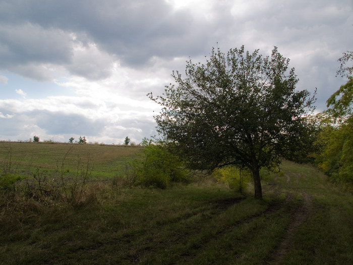 Ukr-Nature-008.jpg