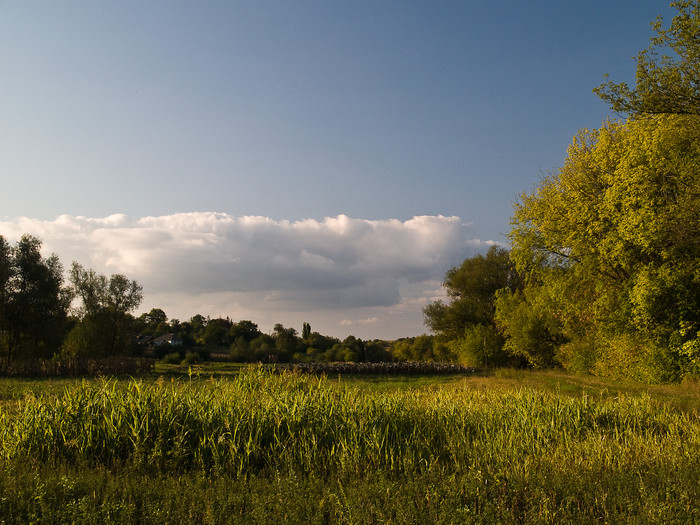 Ukr-Nature-009.jpg