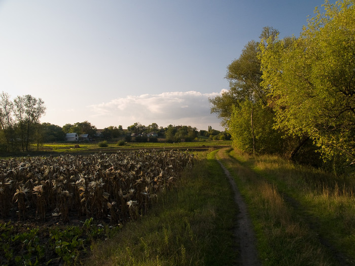 Ukr-Nature-010.jpg