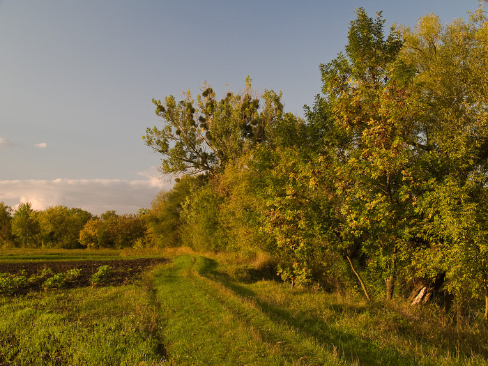Ukr-Nature-014.jpg