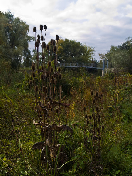 Ukr-Nature-020.jpg