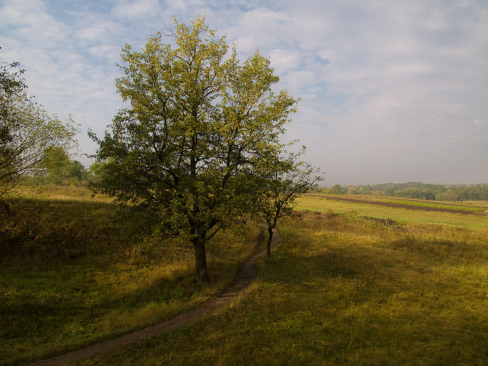 Ukr-Nature-021.jpg