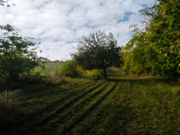 Ukr-Nature-023.jpg