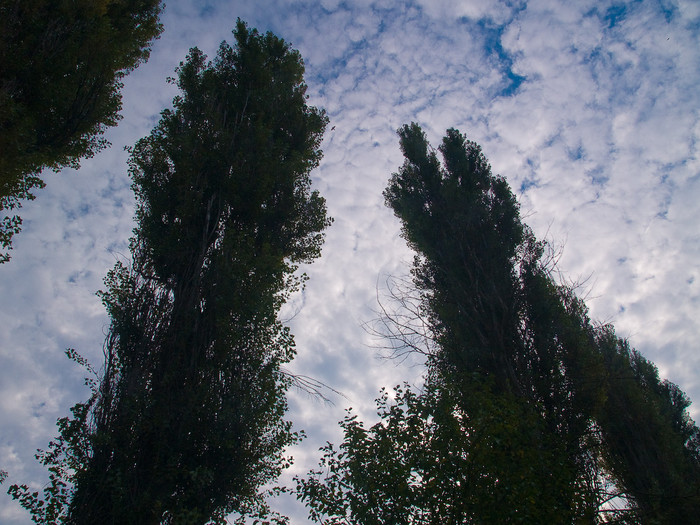 Ukr-Nature-024.jpg