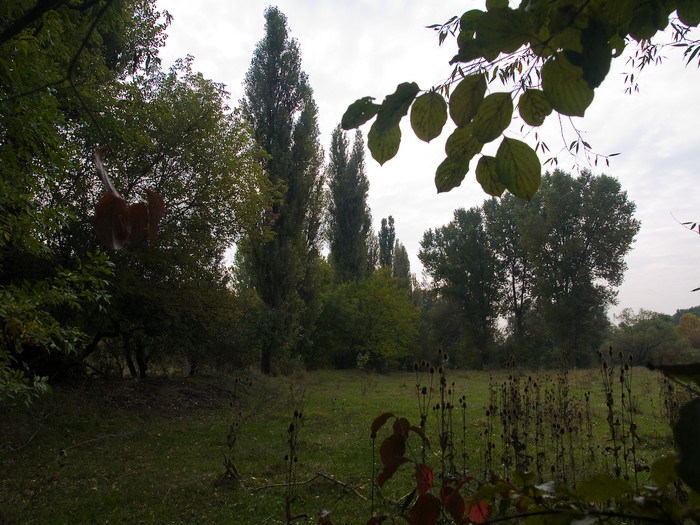 Ukr-Nature-025.jpg
