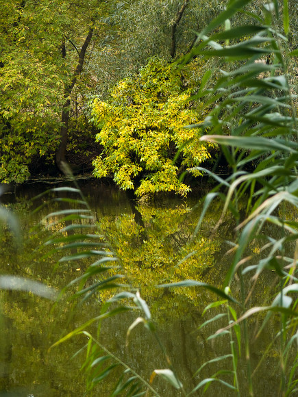 Ukr-Nature-026.jpg