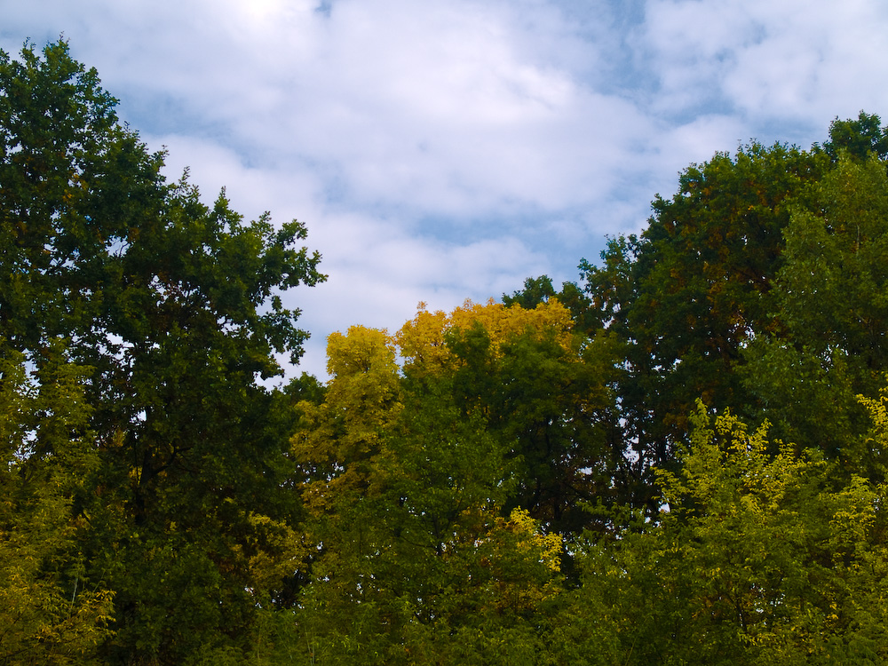 Ukr-Nature-027.jpg