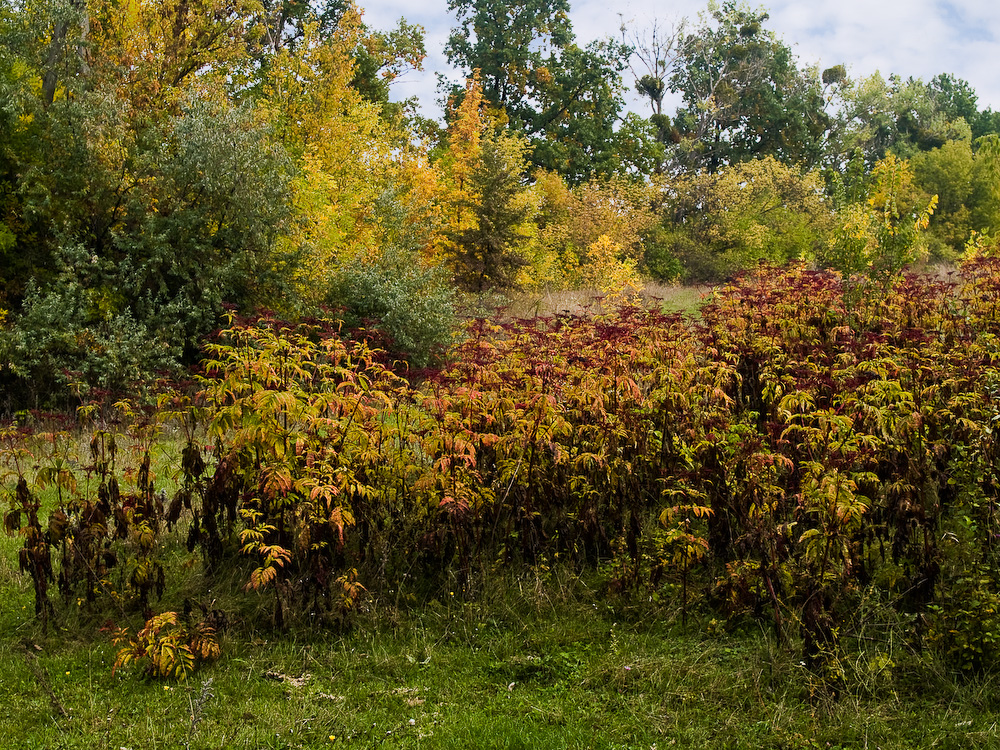 Ukr-Nature-028.jpg