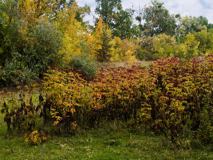 Ukr-Nature-028.jpg
